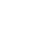 Learn Swedish logo